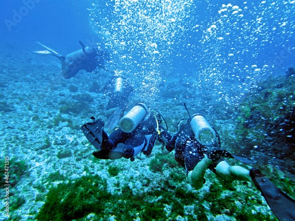 Fototapeta scuba divers at Ressureta diving point in Fernando de Noronha archipelago, State of Pernambuco, Brazil
