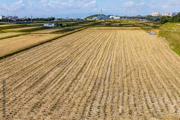 Obraz 堺の上神谷