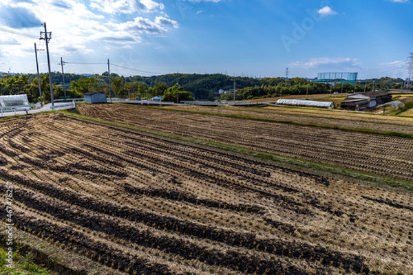 Obraz 堺の上神谷