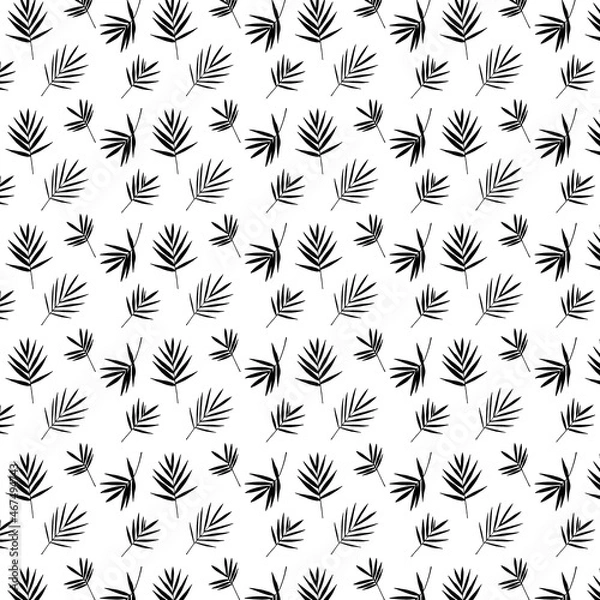 Obraz Black and white tropical palm leaves seamless pattern. Vector illustration.