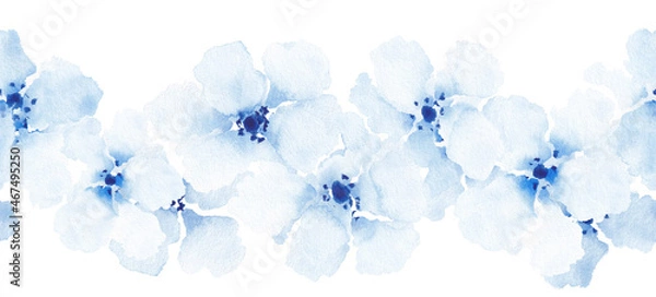 Obraz Softness floral set seamless border. Blue watercolor flowers on white background. Vintage design element.