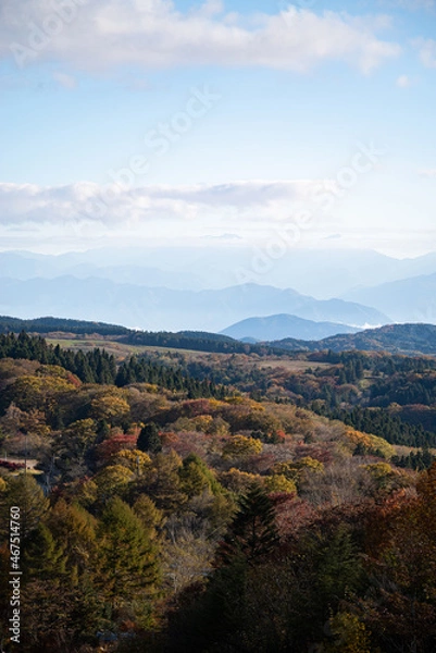 Fototapeta 紅葉する茶臼山高原