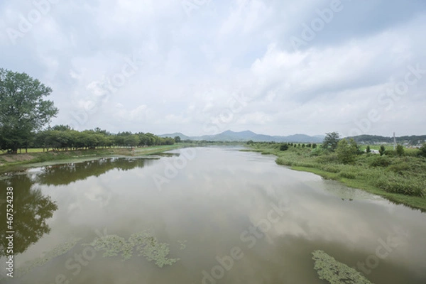 Obraz 흙탕물의 강