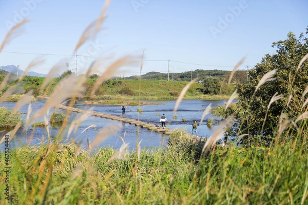 Obraz 억세너머로보이는징검다리