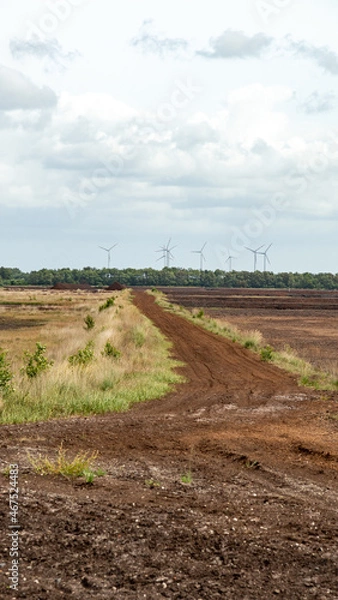 Fototapeta Moorlandschaft Esterweger Dose 