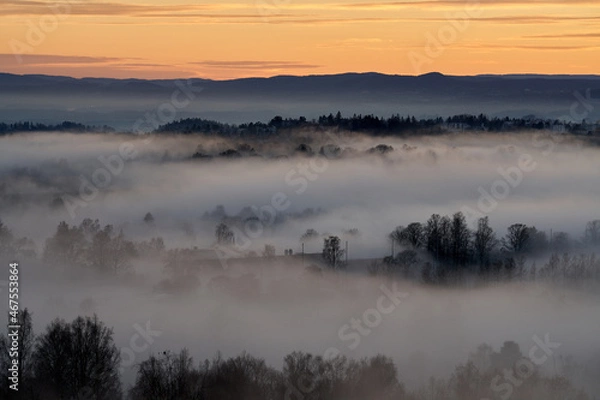 Fototapeta The fog is dense but the sun is cracking out. Shot in the evening from a height over Oslo city in Norway. The fog is like a blanket over the people and city.  Shot in autumn. 