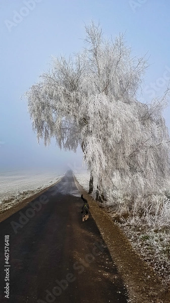 Obraz 20161231_105146 Winter Landschaft
