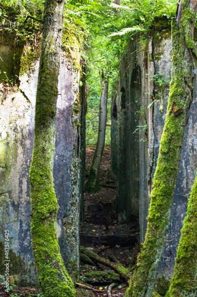 Obraz _DSC9014 Grubenbauwerke im Wald