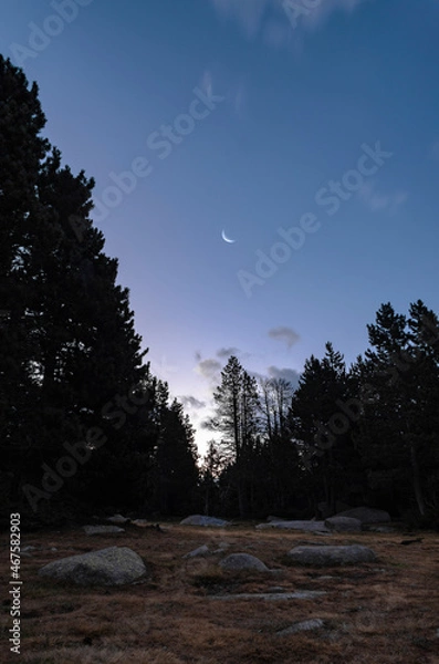 Obraz moon over the mountains.