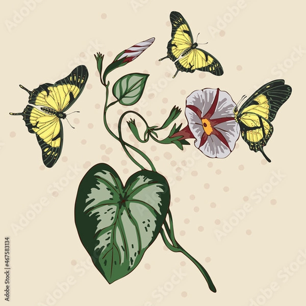 Obraz background with butterflies