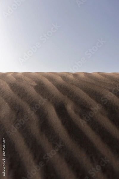 Obraz sand dunes on the beach
