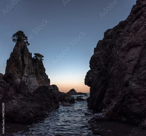 Obraz Swimming between rocks