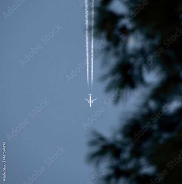 Obraz airplane in flight