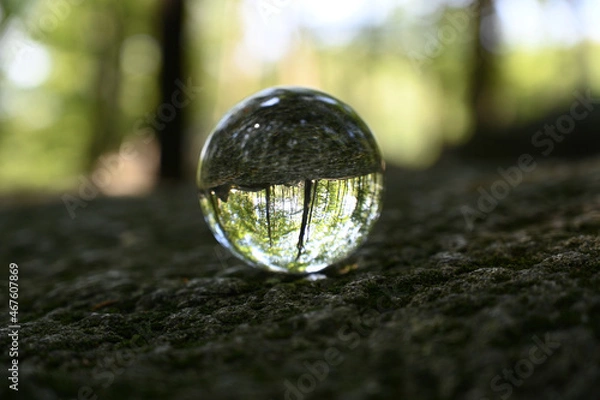 Obraz Glaskugel liegt auf Felsen im Wald