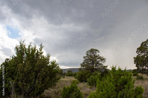 Fototapeta Severe Storm