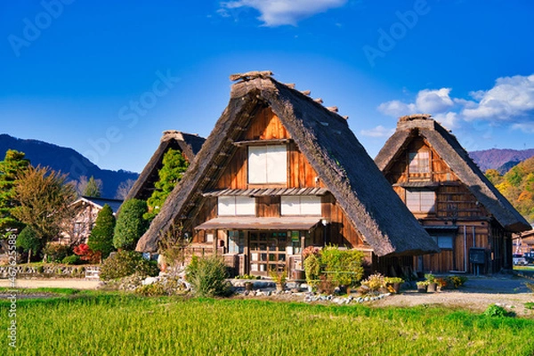 Obraz 秋の白川郷