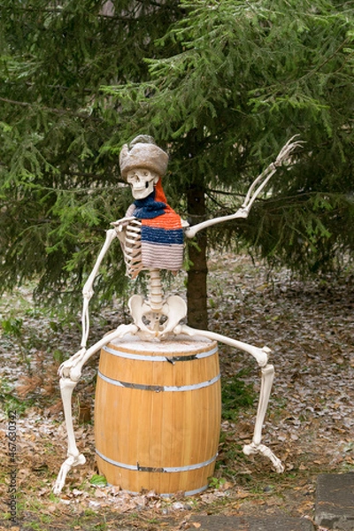 Fototapeta A skeleton in a winter hat and scarf sits on a wooden barrel under a fir tree.