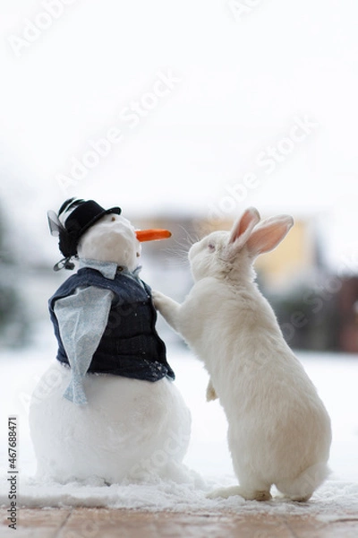 Fototapeta White rabbit and snowman. Rabbit and red carrots. White hare on the street in winter. The rabbit stands on its hind legs in the snow outside.