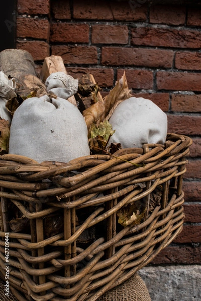 Obraz mushrooms in a basket