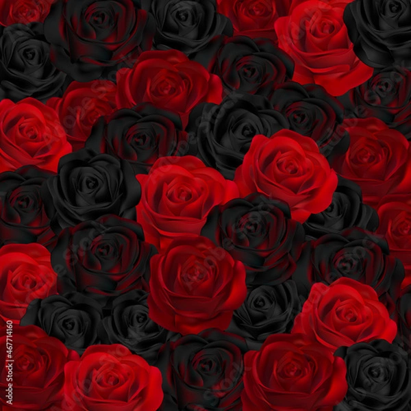Fototapeta Beautiful vector Background with red and black roses