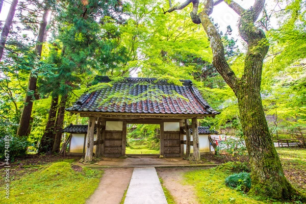 Fototapeta 岩手県　中尊寺・大長寿院