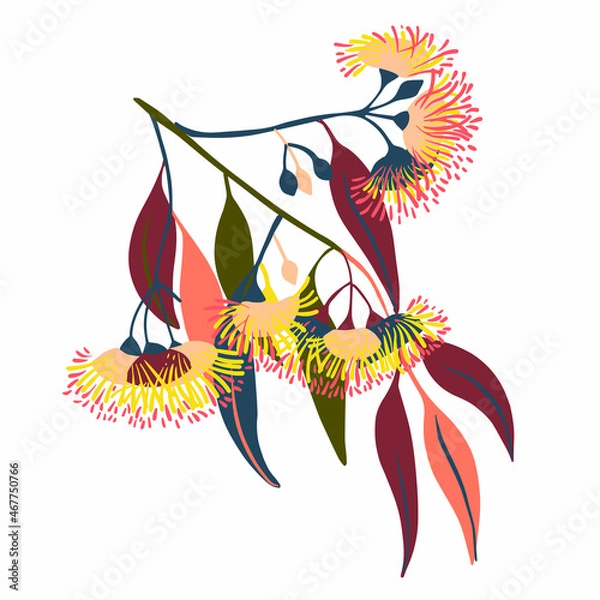Fototapeta Modern isolated stylized design with abstract colorful eucalyptus flowers