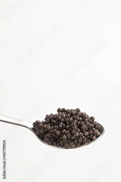 Obraz Black caviar close up isolated white background