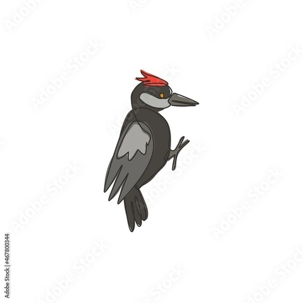Fototapeta One single line drawing of adorable woodpecker for company logo identity. Cute bird mascot concept for national conservation park icon. Modern continuous line draw design vector graphic illustration