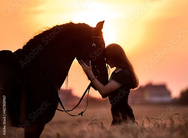Obraz A girl next to a friesian horse at sunset in a field