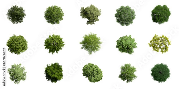 Fototapeta Collection of 3D Top view Green Trees Isolated on white background , Use for visualization in architectural design or garden decorate