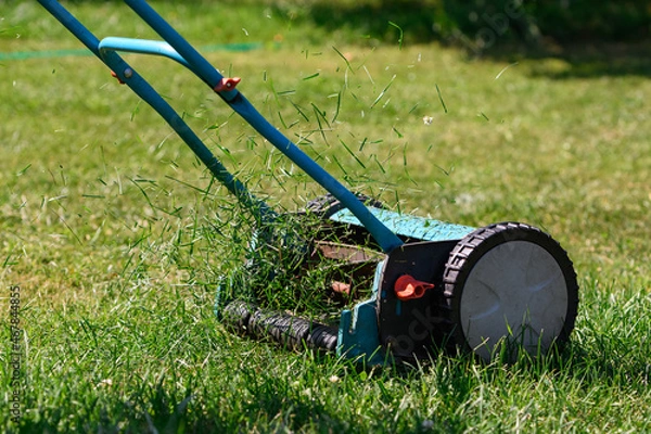 Obraz lawn mowing with a manual drum lawn mower