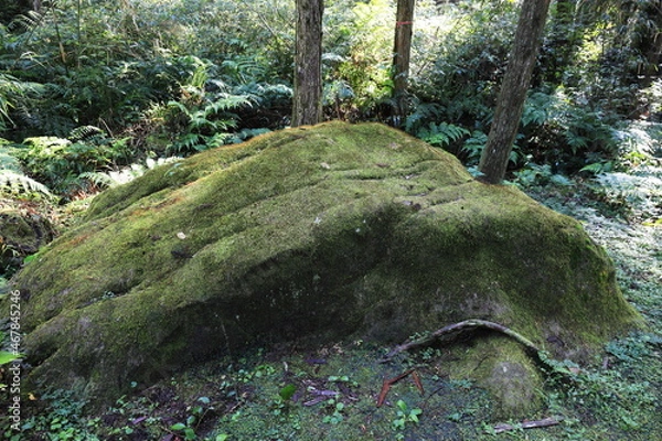 Obraz 西郷隆盛御座石