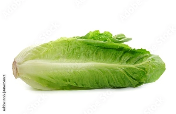 Obraz cabbage isolated on white background