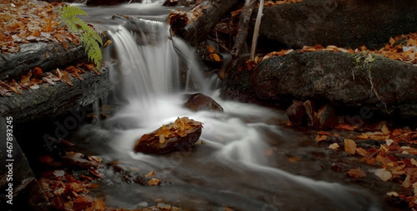 Obraz Cascata