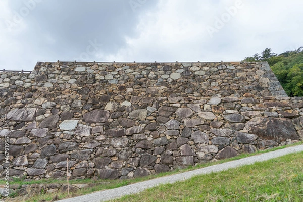 Fototapeta 鳥取城