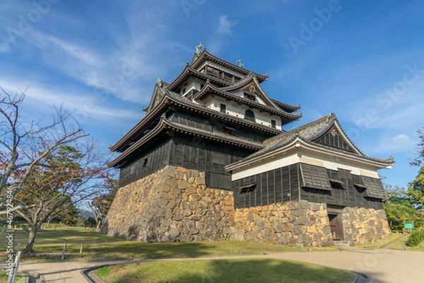 Fototapeta 松江城