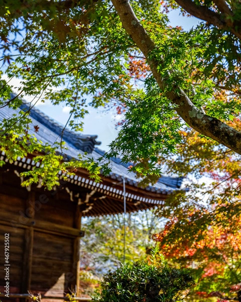 Fototapeta 法道寺