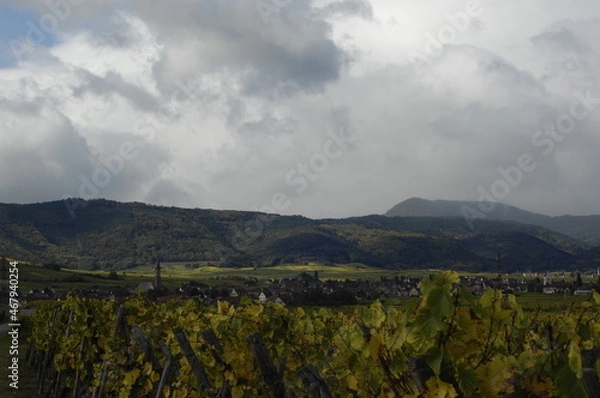 Obraz Mountains in Alsace