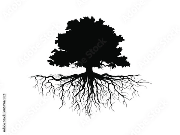 Fototapeta Black Trees and root with leaves look beautiful and refreshing. Tree and roots LOGO style.