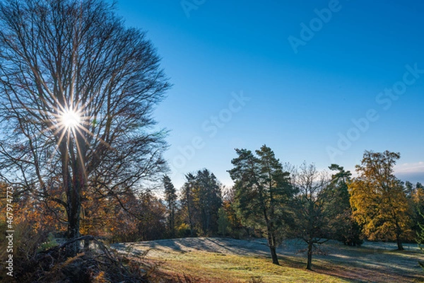 Obraz Schwarzwald ,Herbst 