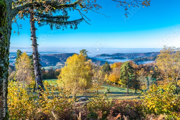 Obraz Schwarzwald ,Herbst 