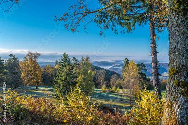 Obraz Schwarzwald ,Herbst 