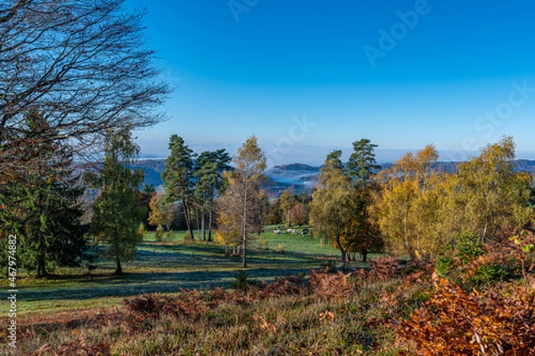 Obraz Schwarzwald ,Herbst 