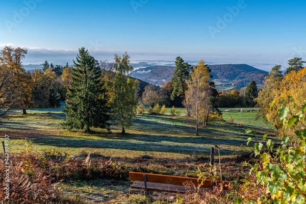 Obraz Schwarzwald ,Herbst 