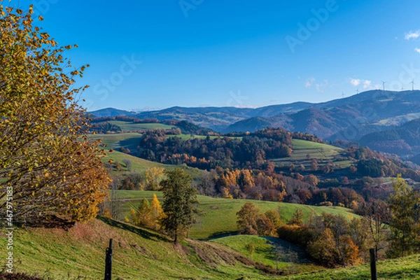 Obraz Schwarzwald ,Herbst 