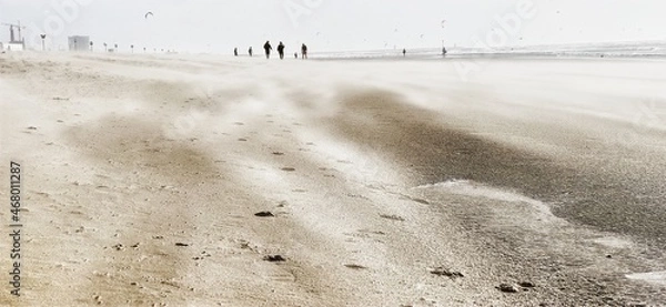 Obraz sand dunes on the beach