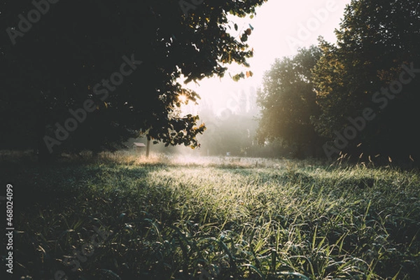 Obraz Herbstmorgen im Park