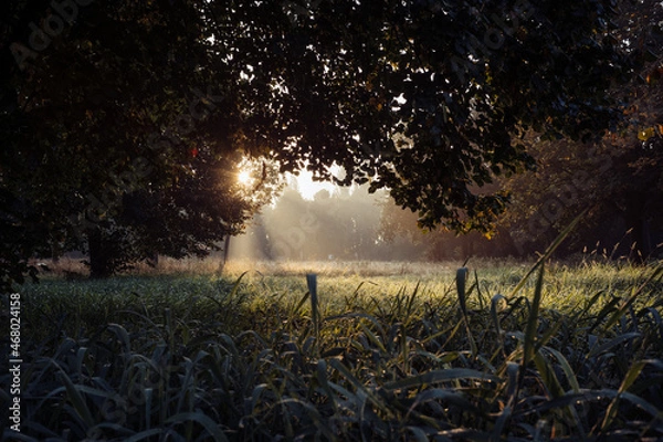 Obraz Herbstmorgen im Park