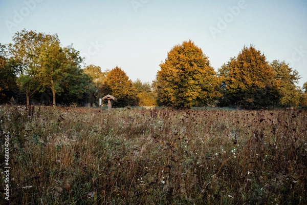 Obraz Herbstmorgen im Park