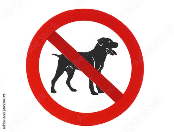 Fototapeta No dogs allowed